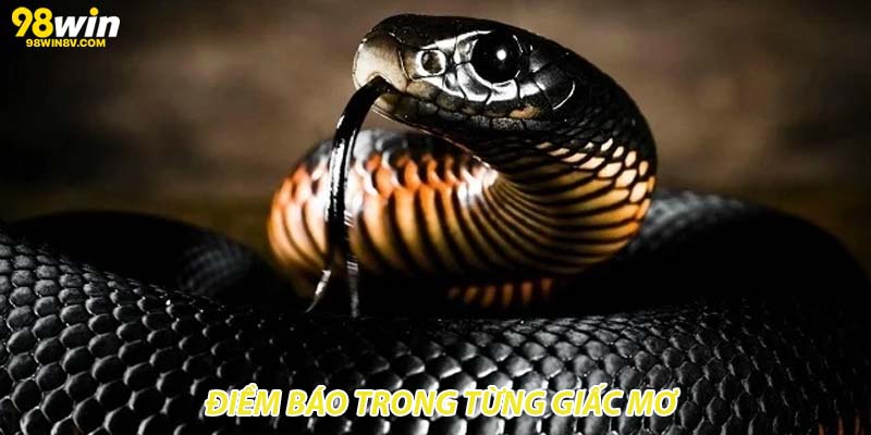 Điềm báo trong từng giấc mơ